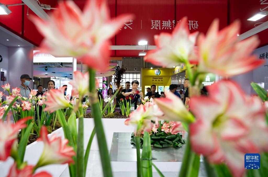 试玩游戏的软件